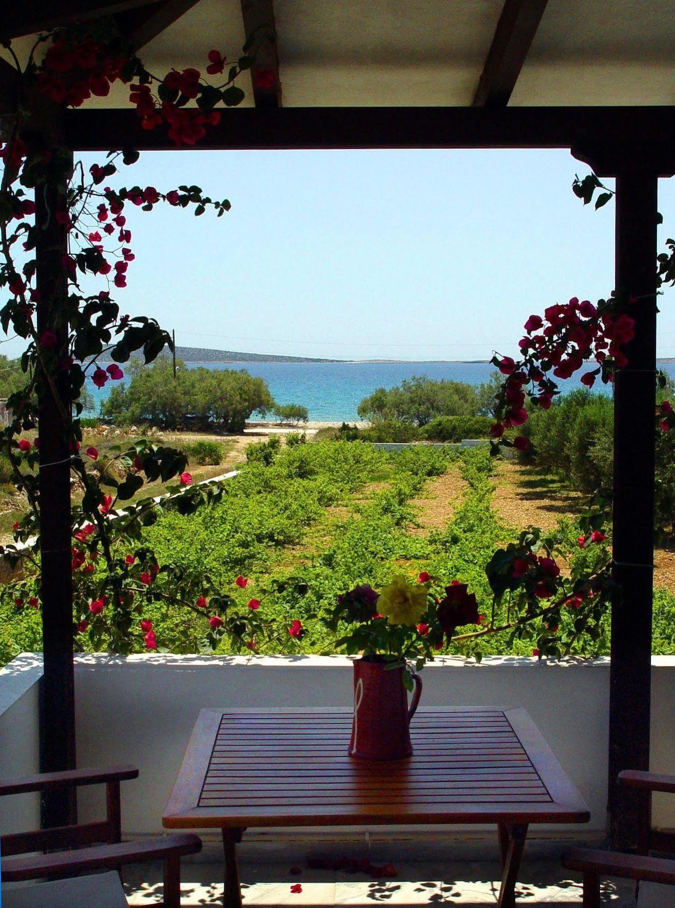 Michalis Apartments Near The Beaches With Sea View Парос Екстериор снимка