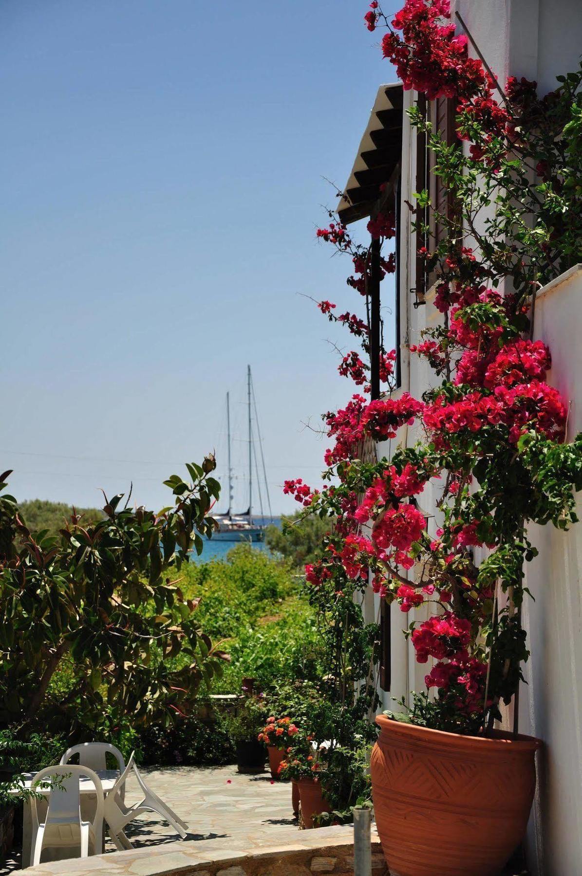 Michalis Apartments Near The Beaches With Sea View Парос Екстериор снимка